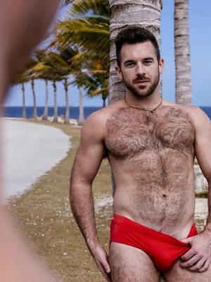 Gay porn pics 'Beach Boys': Derek Spears & Jace Starr