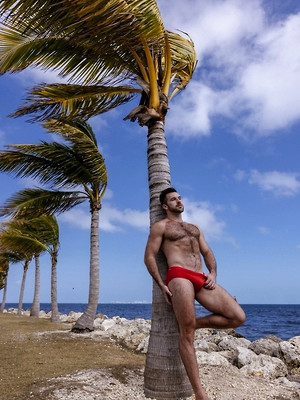 Free gay xxx pics with 'Beach Boys': Derek Spears & Jace Starr