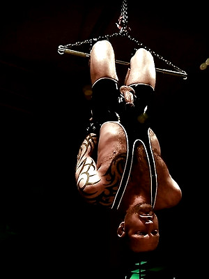 Gay pics of TitanMen exclusives David Anthony, Aymeric DeVille, JR Matthews and Tibor Wolfe