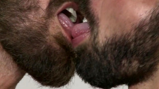 Free gay porn video Studs: Jose Quevedo, Stephan Raw