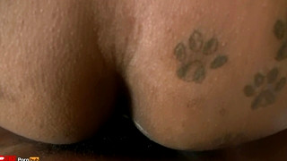 Free gay porn video Rock Dicks down Holliwud Raw Dog Style